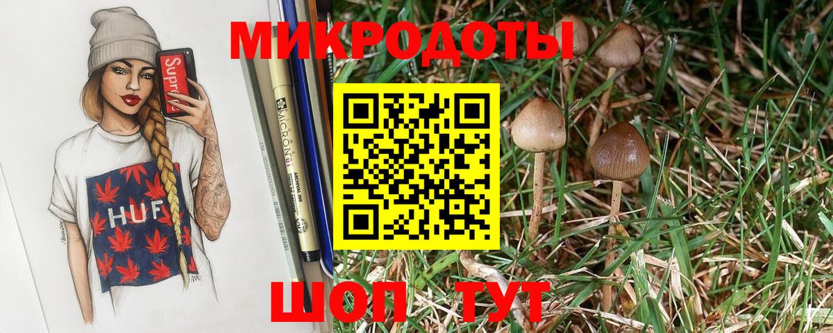 Рузаевка  где найти   Вход с VPN  Псилоцибиновые грибы GOLDEN TEACHER 